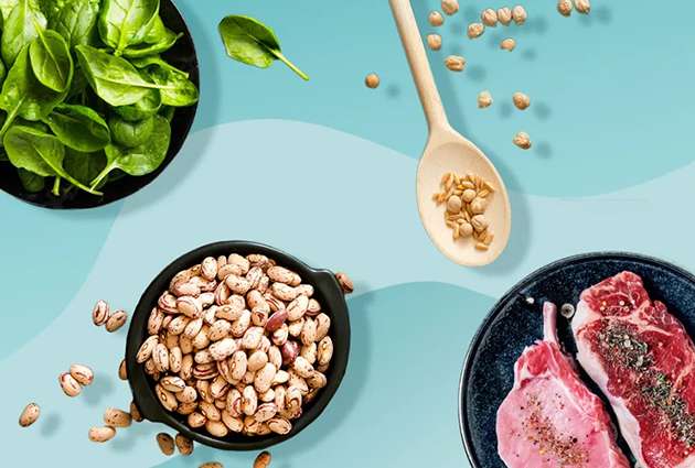 Why Plant Protein Is Better For You Than Animal Protein? - Plixlife