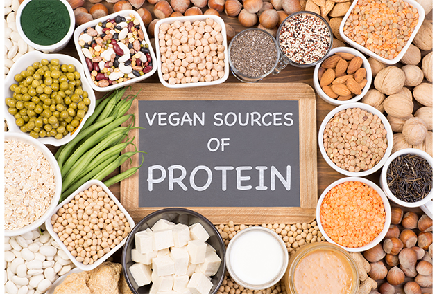 Plant Protein Vs Whey Protein: Which Is Better? - Plixlife